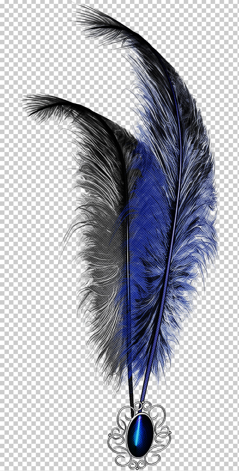 Feather PNG, Clipart, Electric Blue, Feather, Natural Material, Pen, Purple Free PNG Download