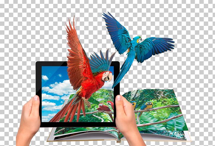 Augmented Reality Coloring Book Wikitude Virtual Reality PNG, Clipart, Aframe, Augmented Reality, Beak, Bird, Book Free PNG Download