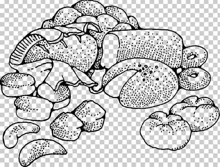 Croissant Baking PNG, Clipart, Area, Bake Sale, Baking, Biscuits, Black And White Free PNG Download