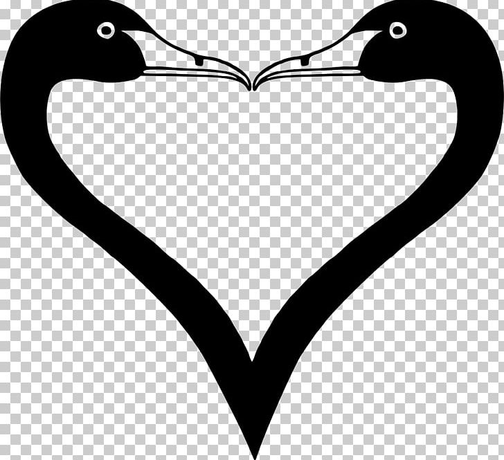 Duck Bird Cygnini Goose PNG, Clipart, Animals, Artwork, Beak, Bird, Black And White Free PNG Download