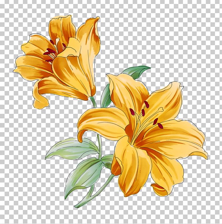 Lilium Flower Watercolor Painting Drawing PNG, Clipart, Art, Botanical Illustration, Color, Cut Flowers, Daisy Family Free PNG Download