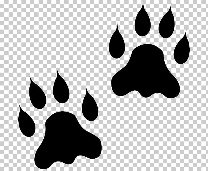 Paw Lion Animal Track Dog PNG, Clipart, Animal, Animal Track, Black, Black And White, Canidae Free PNG Download