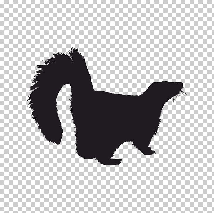 Whiskers Striped Skunks Dog PNG, Clipart, Animal, Animals, Black, Carnivoran, Cat Free PNG Download