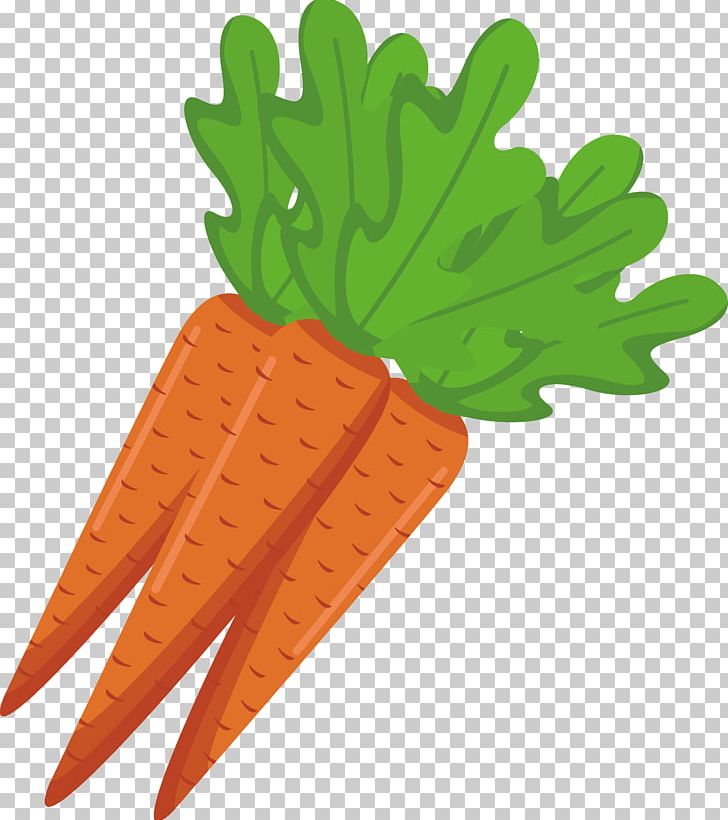 Carrot Vegetarian Cuisine Veggie Burger Food PNG, Clipart, Balloon Cartoon, Boy Cartoon, Carrot Vector, Cartoon, Cartoon Character Free PNG Download