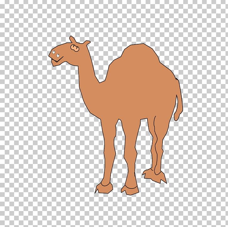 Dromedary PNG, Clipart, Animal, Animal Figure, Arabian Camel, Camel, Camel Like Mammal Free PNG Download