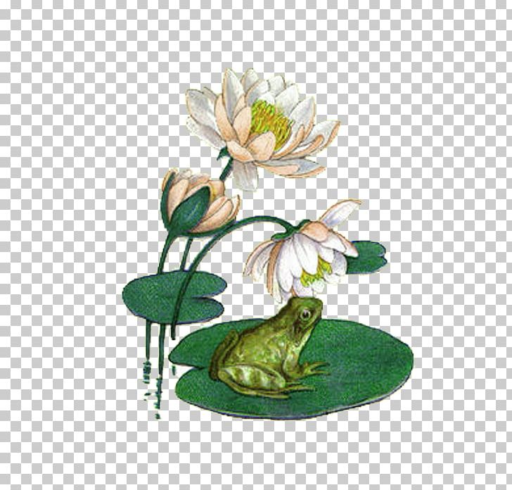 Koi Water Lily Frog Mousepad Pond PNG, Clipart, American Bullfrog, Animals, Chinese New Year, Chinese Style, Color Free PNG Download