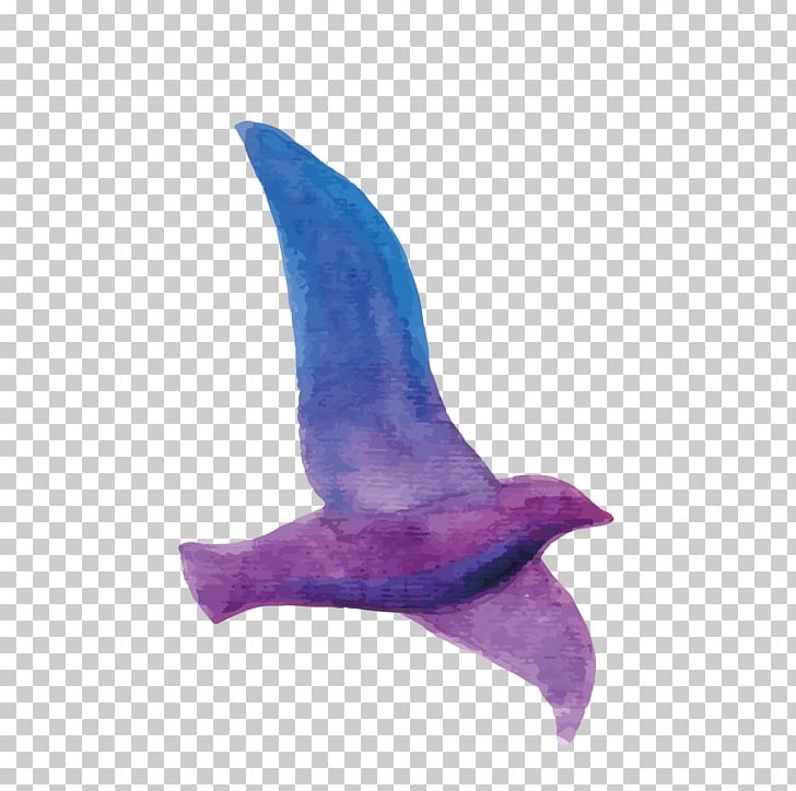 Rock Dove Bird Watercolor Painting Illustration PNG, Clipart, Animals, Cartoon, Columba, Dolphin, Flying Pigeon Book Free PNG Download