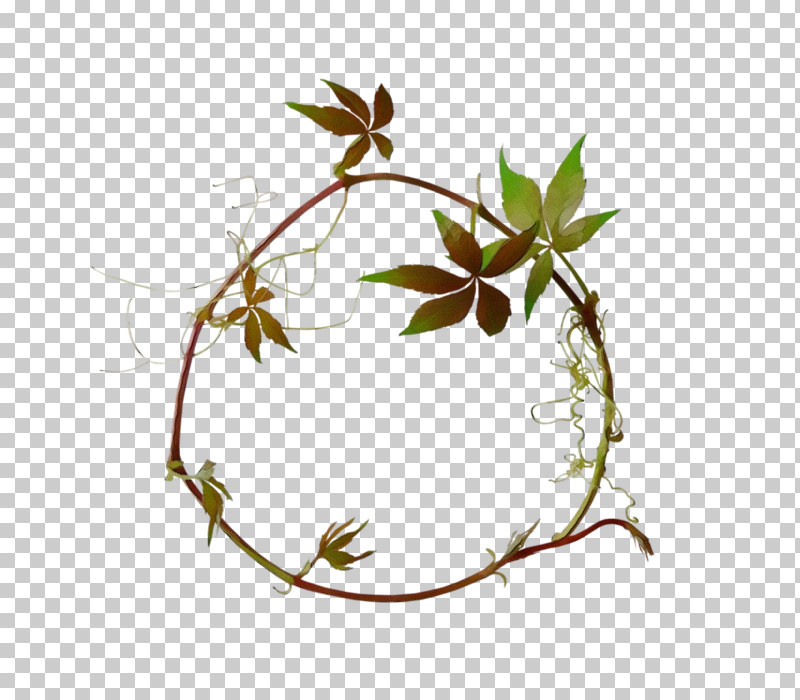 Ivy PNG, Clipart, Branch, Flower, Ivy, Ivy Family, Leaf Free PNG Download