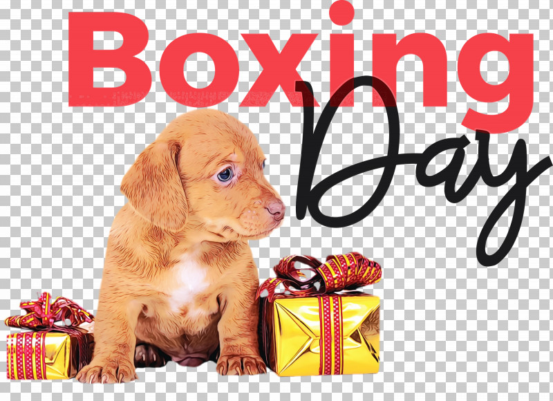 Boxing Day PNG, Clipart, Airpods, Apple, Boxing, Boxing Day, Clothing Free PNG Download