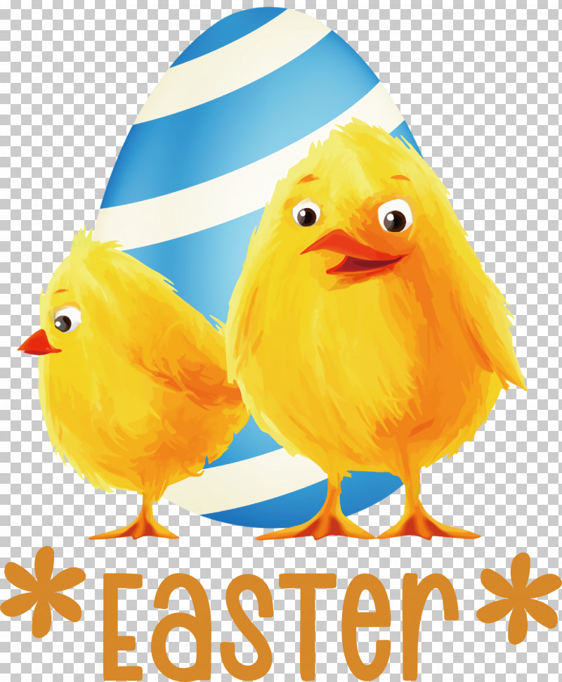 Easter Chicken Ducklings Easter Day Happy Easter PNG, Clipart, Cartoon, Chicken, Drawing, Easter Bunny, Easter Day Free PNG Download