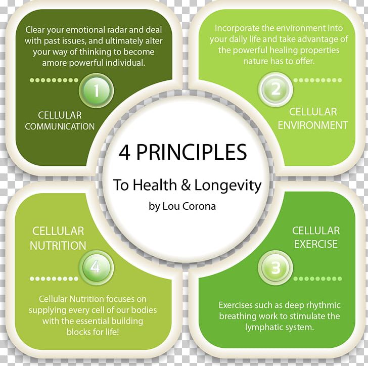 Health Principios De Farmacología Médica Principle Dietary Supplement Nutrition PNG, Clipart, Alternative Health Services, Brand, Diet, Dietary Supplement, Green Free PNG Download