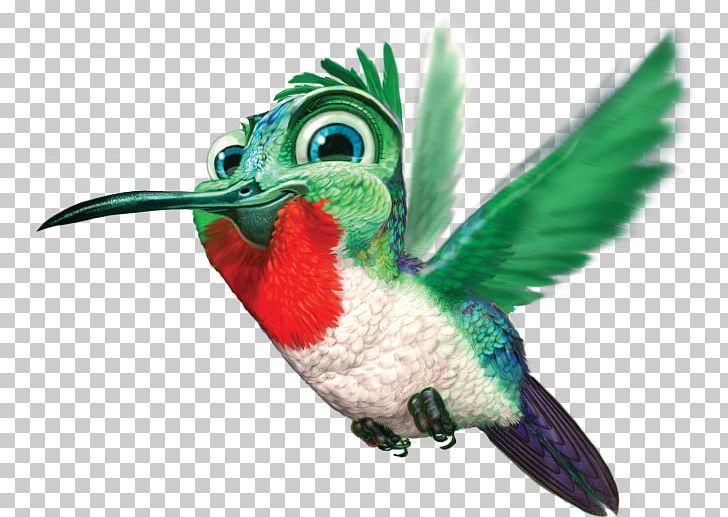 Hummingbird PNG, Clipart, Beak, Bird, Document, Download, Fauna Free PNG Download