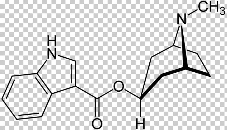 Tropisetron Nootropic Pharmaceutical Drug Methylhexanamine PNG, Clipart, 5ht3 Antagonist, Angle, Area, Black And White, Canagliflozin Free PNG Download