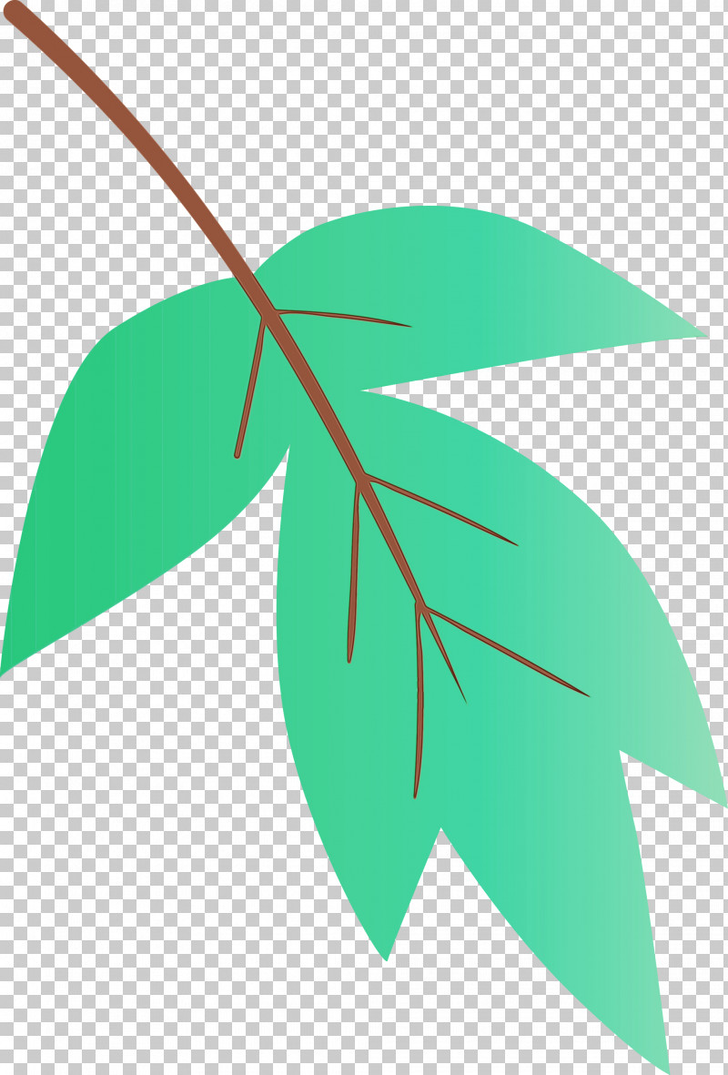 Leaf Green Plant Tree Line PNG, Clipart, Green, Leaf, Line, Paint, Plant Free PNG Download
