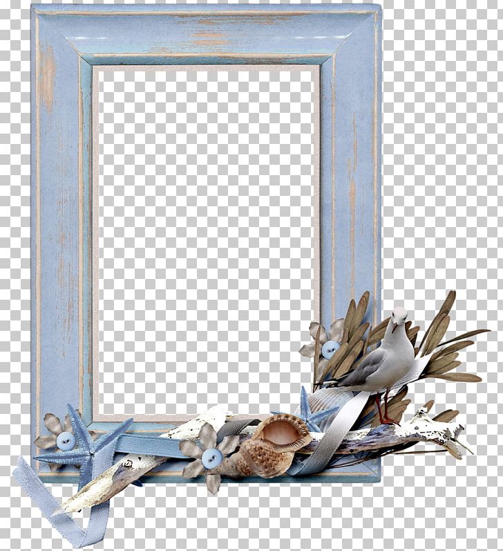 Frames Photography PNG, Clipart, M083vt, Microsoft Azure, Mirror, Nautica, Net Free PNG Download