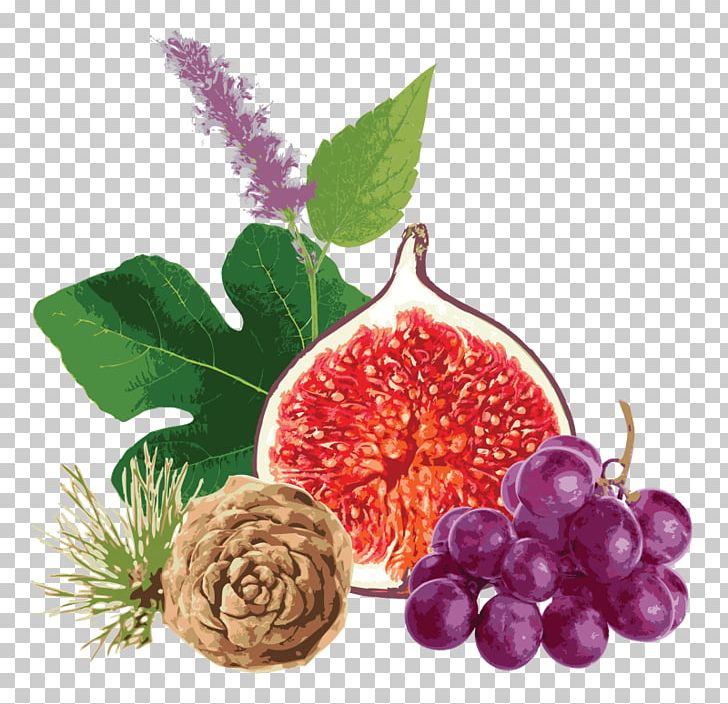 Grape Seed Extract Lotion Common Fig Food PNG, Clipart, Berry, Cedar Oil, Common Fig, Deep, Food Free PNG Download