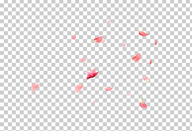 Petal Cherry Blossom Cerasus PNG, Clipart, Blossom, Cherry, Circle, Data, Decorative Free PNG Download