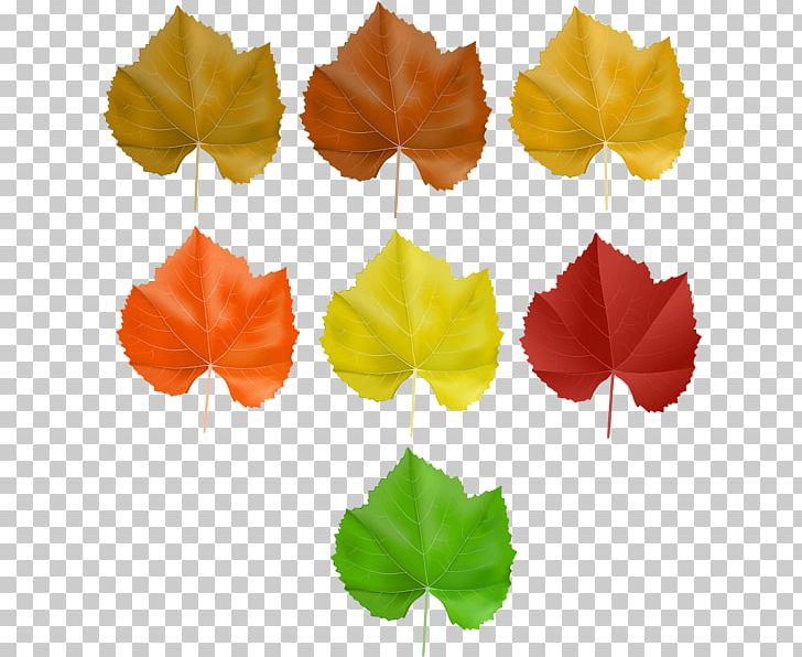 Portable Network Graphics Transparency PNG, Clipart, Art, Art Museum, Autumn, Autumn Leaf Color, Autumn Leaves Free PNG Download