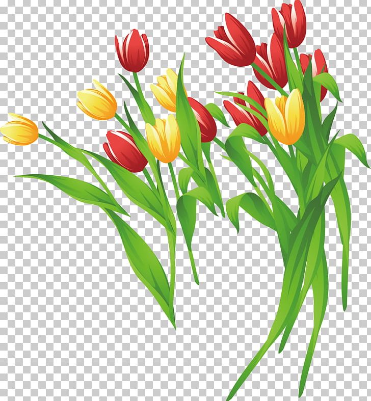 Tulip Flower PNG, Clipart, Cut Flowers, Flower Arranging, Flowers, Happy Birthday Vector Images, Material Free PNG Download