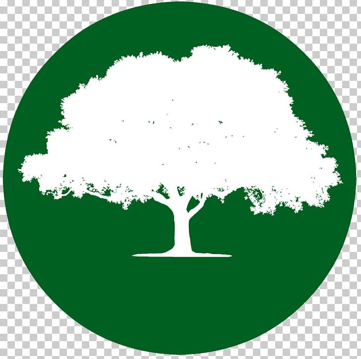 Business Complejo El Ombu Management Villa Amancay Tree PNG, Clipart, Afacere, Brand, Business, Circle, Finance Free PNG Download