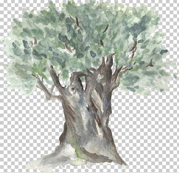 Hand-painted Watercolor Trees PNG, Clipart, Art, Bonsai, Branch, Decoration, Decorative Patterns Free PNG Download