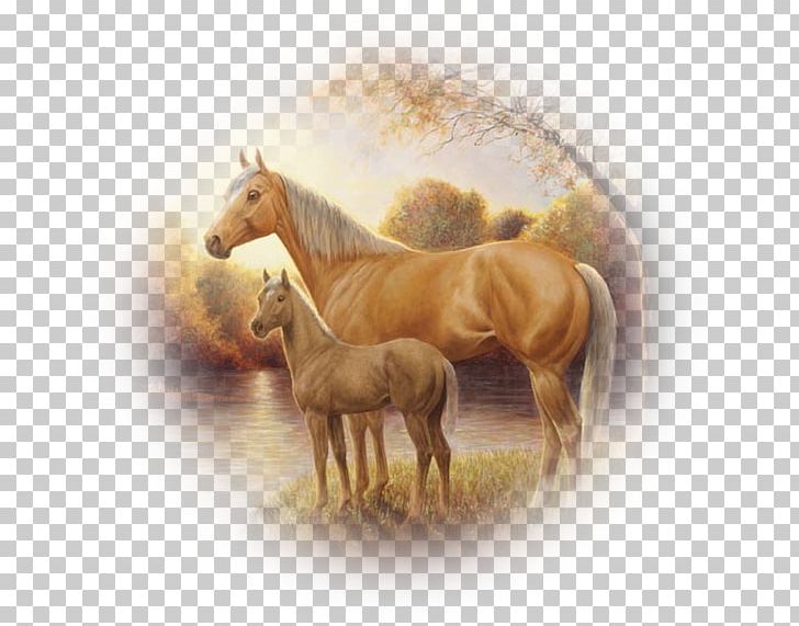Horse Drawing 2017 Kentucky Derby Pony PNG, Clipart, 2017 Kentucky Derby, Animal, Blog, Drawing, Foal Free PNG Download