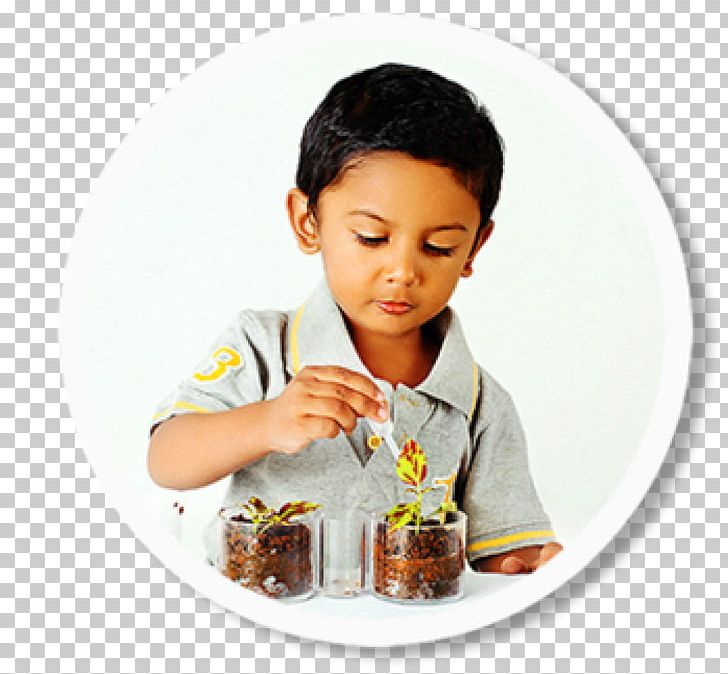 Maria Montessori India Pre-school Child Montessori Education PNG, Clipart, Child, Child Care, Drink, Eating, Education Free PNG Download
