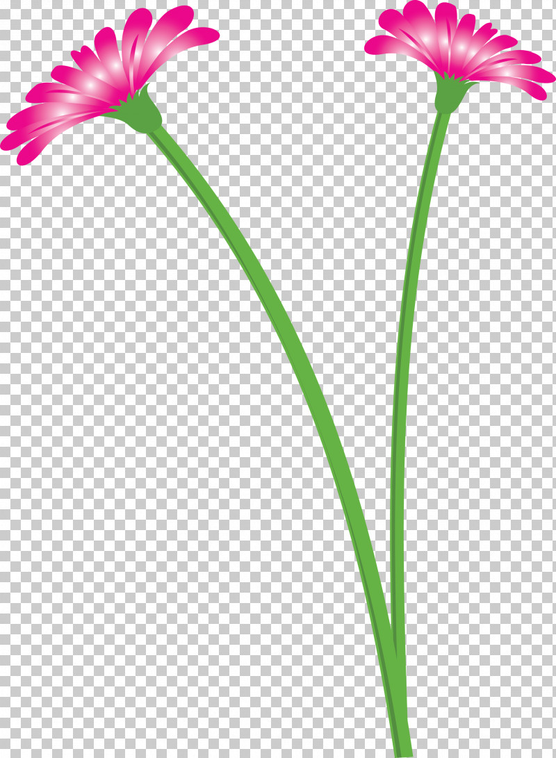 Dandelion Flower PNG, Clipart, Annual Plant, Biology, Cut Flowers, Dandelion Flower, Flora Free PNG Download