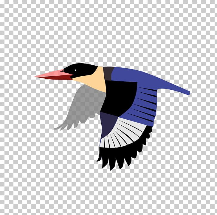 Beak Goose Cygnini Duck Water Bird PNG, Clipart, Anatidae, Animals, Beak, Bird, Blackbird Free PNG Download