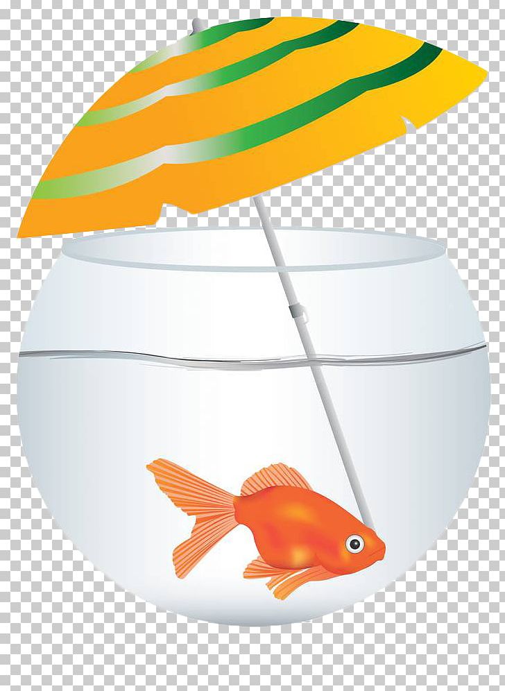 Glass Aquarium PNG, Clipart, Aquatic, Aquatic Products, Euclidean, Fish, Fishing Free PNG Download