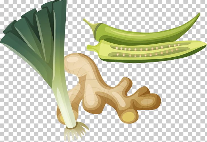 Vegetable Food Okra Illustration PNG, Clipart, Banana, Banana Family, Capsicum Annuum, Cartoon, Chili Free PNG Download