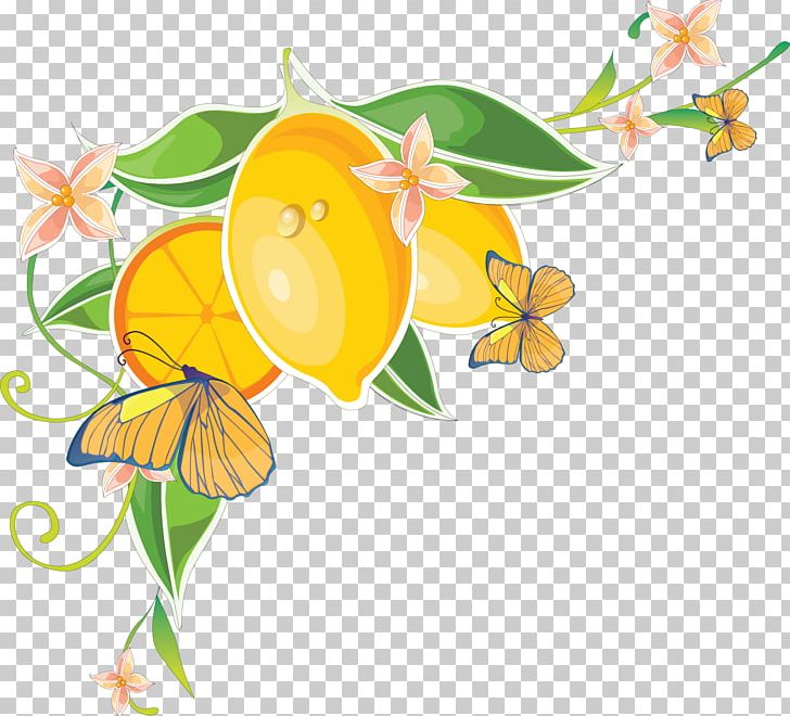 Butterfly PNG, Clipart, Artwork, Branch, Computer Wallpaper, Cut Flowers, Desktop Wallpaper Free PNG Download