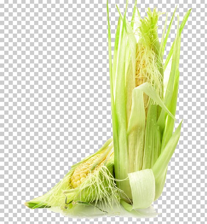 Waxy Corn Corn On The Cob Corn Kernel Vegetable PNG, Clipart, Auglis, Cartoon Corn, Celery, Cereal, Commodity Free PNG Download