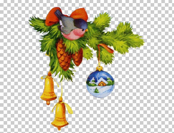 New Year Christmas Day Novogodnyaya Holiday Winter PNG, Clipart, Beak, Bird, Branch, Christmas, Christmas Day Free PNG Download