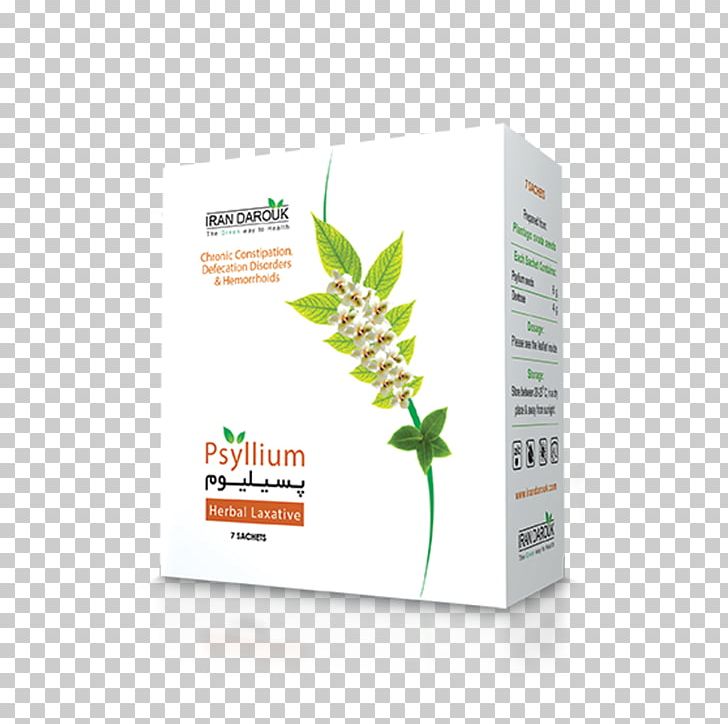 Psyllium Sand Plantain Human Digestive System Drug Dietary Fiber PNG, Clipart, Brand, Capsule, Constipation, Dietary Fiber, Digestion Free PNG Download