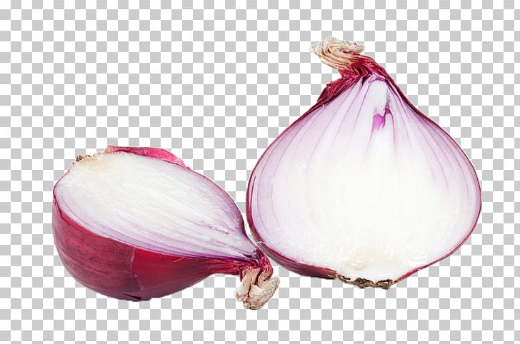 Red Onion Vegetable Food Allium Fistulosum PNG, Clipart, Allium, Cooking, Eating, Food, Garlic Free PNG Download