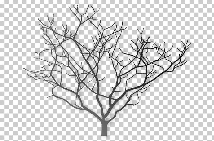 Tree Southern Magnolia Chinese Magnolia Stock Photography PNG, Clipart, Acer Glabrum, Artwork, Black And White, Branch, Chinese Magnolia Free PNG Download