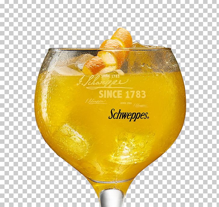 Agua De Valencia Cocktail Garnish Harvey Wallbanger Fuzzy Navel Bellini PNG, Clipart, Absolut Vodka, Agua De Valencia, Bellini, Cocktail, Cocktail Garnish Free PNG Download