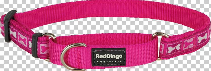 Dog Collar Martingale Dingo PNG, Clipart, Bone, Buckle, Choker, Clothing Accessories, Collar Free PNG Download