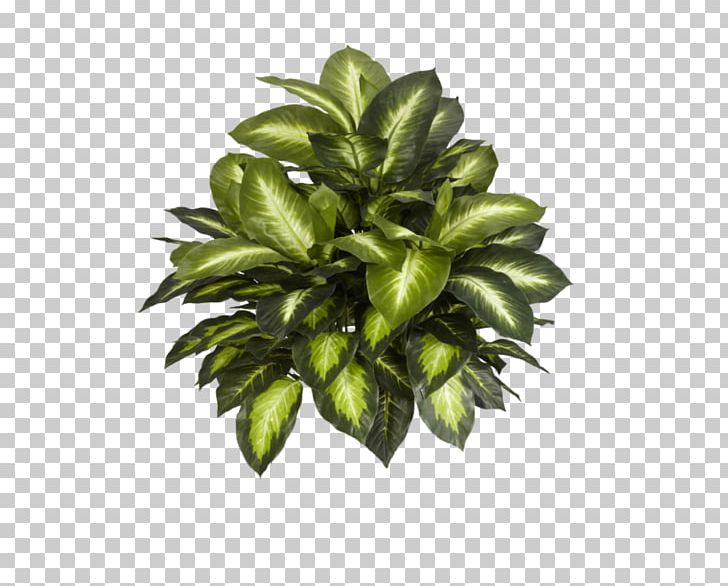 Plant Silk Artificial Flower Tree PNG, Clipart, Arecaceae, Areca Palm, Artificial Flower, Bushes, Devils Ivy Free PNG Download