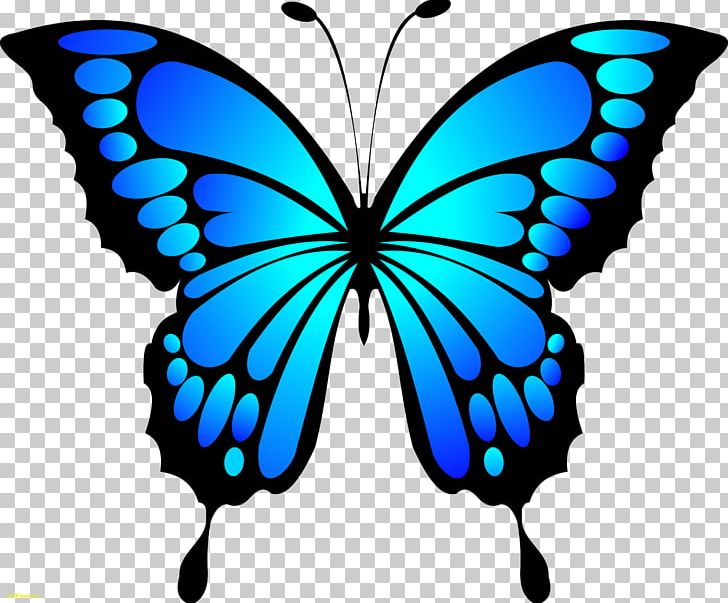 Butterfly PNG, Clipart, Black And White, Brush Footed Butterfly, Butterfly, Desktop Wallpaper, Download Free PNG Download
