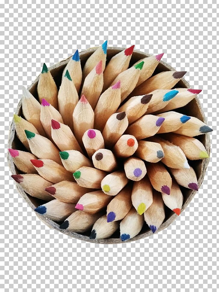 Lily By Any Other Name All In Book Running With Pencils Business PNG, Clipart, 2018, All In, Author, Book, Business Free PNG Download