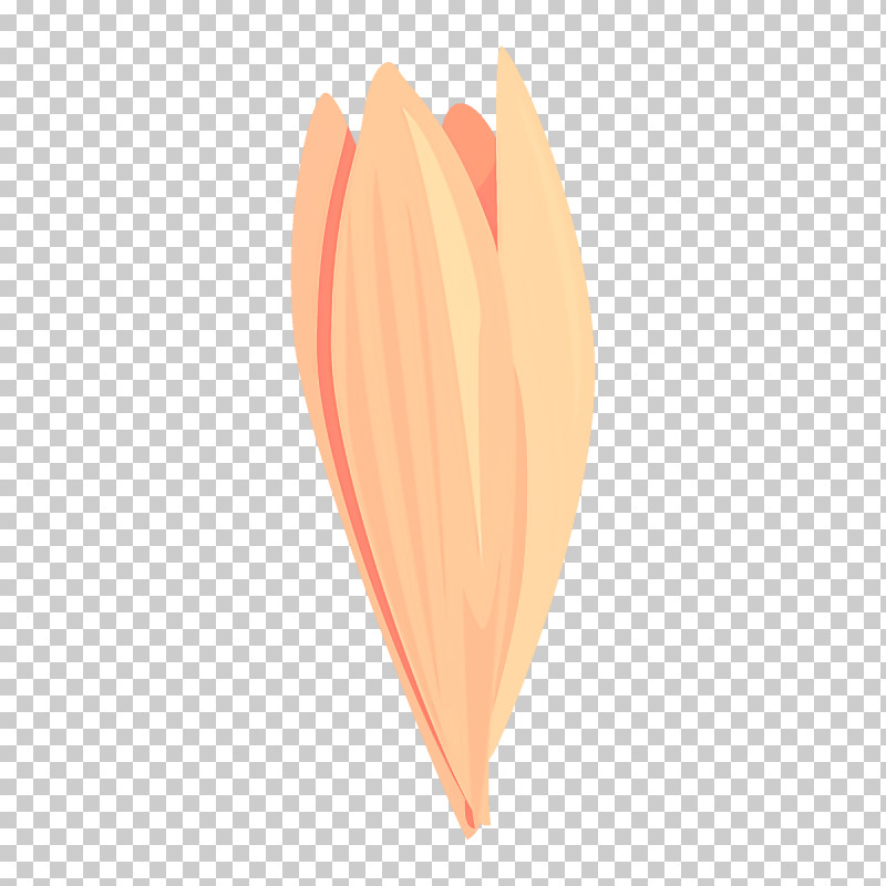 Feather PNG, Clipart, Feather, Flower, Leaf, Peach, Petal Free PNG Download