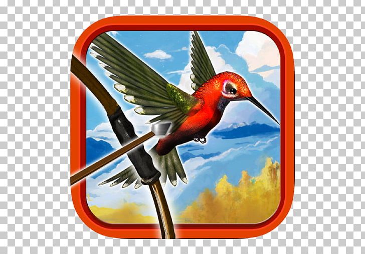 Hummingbird Beak Wing Macaw PNG, Clipart, Apple Iphone 5, Beak, Bird, Bow, Case Free PNG Download