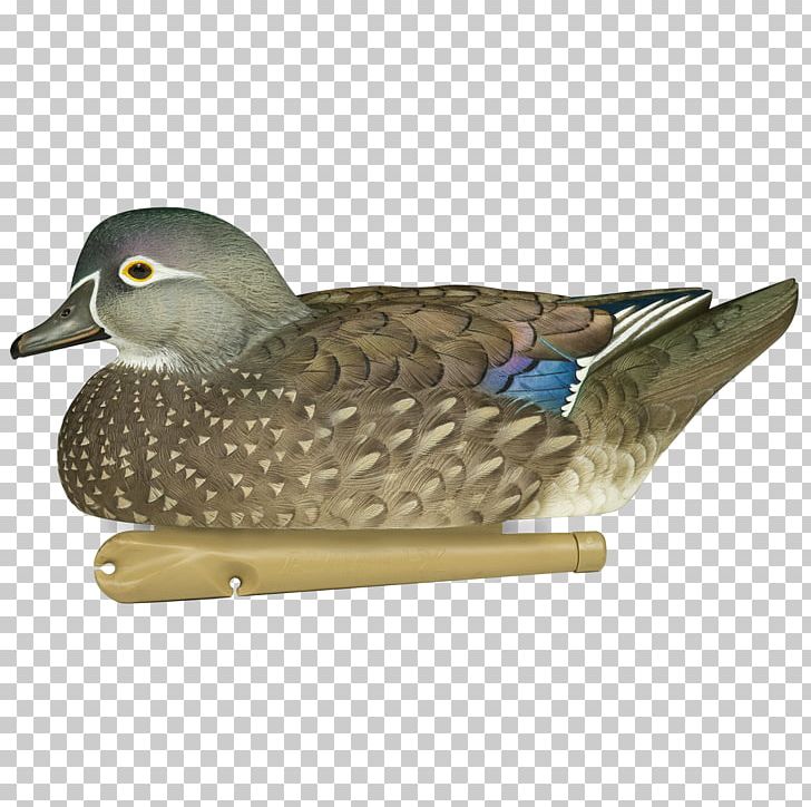 Mallard Duck Decoy Goose PNG, Clipart, American Black Duck, Animals, Anseriformes, Beak, Bird Free PNG Download