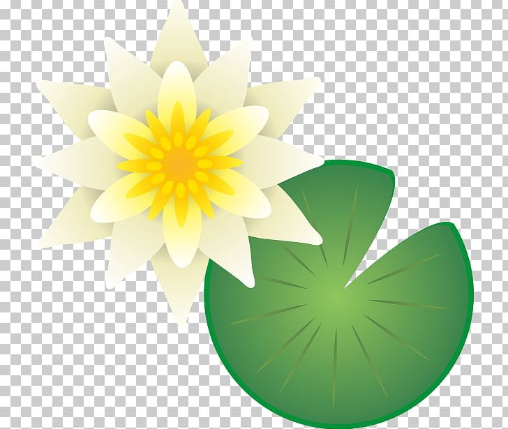Pygmy Water-lily Nelumbo Nucifera Petal Flower PNG, Clipart, Art, Daisy Family, Drawing, Flower, Flowering Plant Free PNG Download