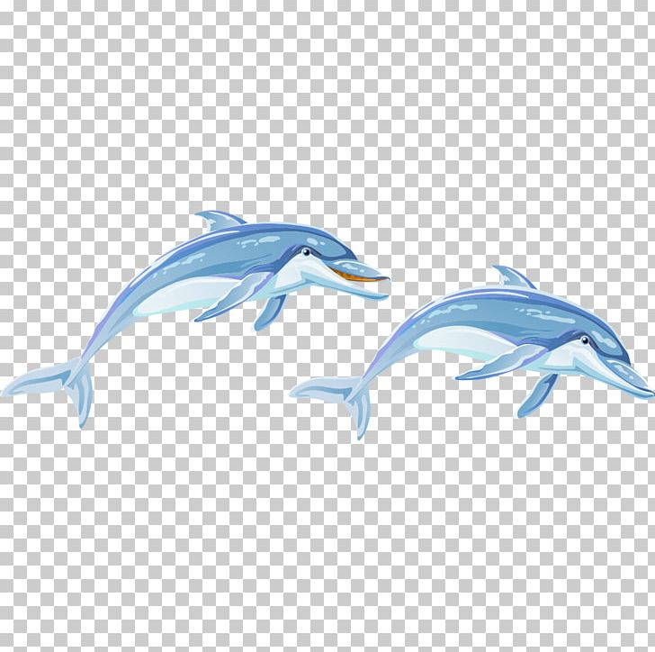 Common Bottlenose Dolphin Animal PNG, Clipart, Animal, Animals, Aquatic, Aquatic Creatures, Azure Free PNG Download