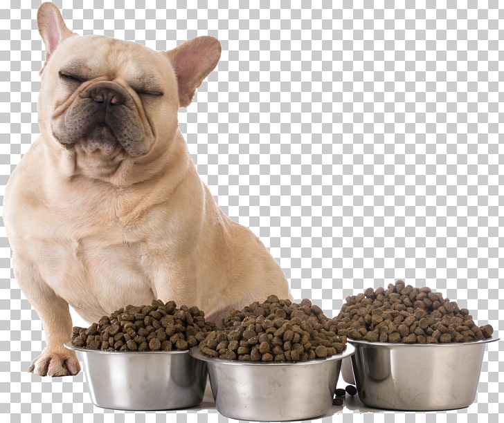 Croquette French Bulldog Puppy Dog Food Avoidant/restrictive Food Intake Disorder PNG, Clipart, Animals, Bowl, Bulldog, Carnivoran, Companion Dog Free PNG Download