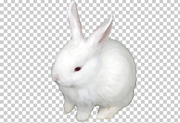 Domestic Rabbit Hare Easter Bunny PNG, Clipart, Animals, Domestic Rabbit, Easter Bunny, Hare, Mammal Free PNG Download