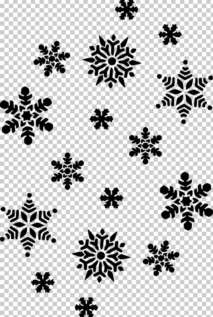 Snowflake PNG, Clipart, Black, Black And White, Blue, Branch, Clip Free PNG Download
